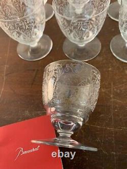 10 Antique Engraved White Wine Glasses In Baccarat Crystal (Price Per Unit)