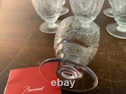 10 Antique Engraved White Wine Glasses In Baccarat Crystal (Price Per Unit)