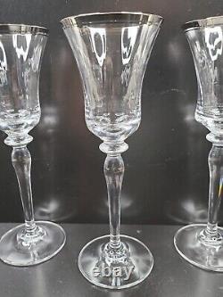 10 Mikasa Jamestown Platinum Trim Wine Glasses Elegant Optic Clear Stemware Lot