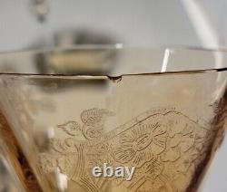 10 Vintage Amber Etched Stem Ware Wine Glass 8 H