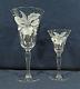 14-pcs Of Cut/acid Etched Crystal Orchid Pattern Stemware (6-wines & 8-waters)