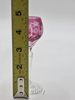 4 Nachtmann Traube 4 1/2 Cordials Crystal Wine Glasses Multi Color Cut To Clear