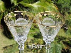 6 MOSER Rose PAULA 10 1/2 8oz Wine Glasses Intaglio Cut Crystal Gold Gilding