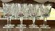 8 WATERFORD CRYSTAL LISMORE WHITE WINE GLASSES Ireland