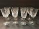 8 WATERFORD LISMORE WHITE WINE GLASSES 5 1/2 New