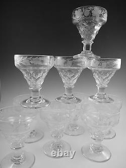ANTIQUE WINE Glass / Glasses Fruiting Vine Pattern Rummers Set of 10