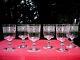 Baccarat 6 Wines Glasses Crystal 6 Verres A Vin Cristal Gravé 3458 19éme Xixém