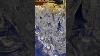 Buying Lead Crystal Drinking Glasses At Auction Expert Tips Auctiontips Auctionfinds