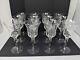 Crystal Clear Stemware Sunflower Footed Tall Wine Goblets approx 8 (set of 12)