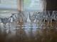 Crystal wine glasses