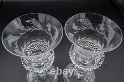 Edinburgh Crystal Thistle White Wine Glasses Pair-UNSIGNED 5 1/4 FREE SHIP