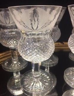 Eight Stunning Edinburgh Crystal Thistle Pattern Large Wine Glasses, Never Used