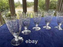 Fostoria, Chintz -Etched -CRYSTAL -Wine Ice Tea Style glasses Set Of 6