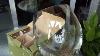 German Lead Free Crystal Wine Glass Stolzle Vinea 6 3oz New