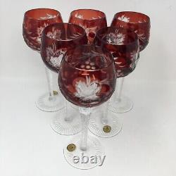 Hutschenreuther Red Cut to Clear Crystal 8 Hock Wine Glasses Set of 6