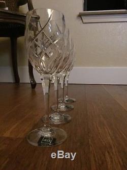Mikasa ENGLISH GARDEN Crystal Wine Glass/Water Goblet 9 Inch New