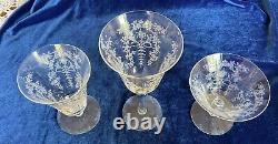 Morgantown MIKADO- Etched Crystal Wine, Water Cocktail, Stem Glasses Large Set