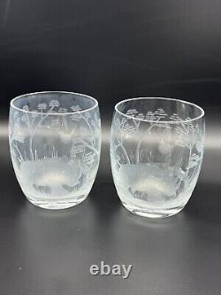 Moser Rowland Ward Safari Crystal Stemless Wine Or Whiskey Glass Rhinoceros READ