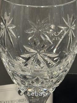 NEW Waterford Crystal PALM TREE Wine Glasses MASTER CRAFTED SIGNED COUGHLAN 2007