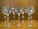 NWT New Set of (7) Richard Ginori RITZ Crystal Optic Wine Glasses