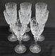 Queen by Rogaska Crystal 8 Wine Glasses 7 3/4 Tall Stemware