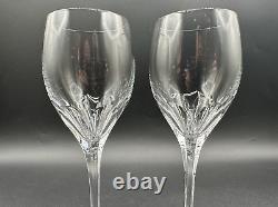 RARE Beautiful Pair of TIFFANY & CO. CRYSTAL Denise Wine Glasses Luxury MINT