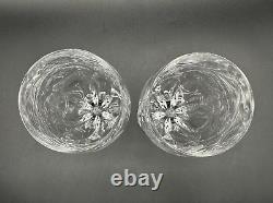 RARE Beautiful Pair of TIFFANY & CO. CRYSTAL Denise Wine Glasses Luxury MINT