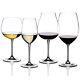 Riedel Vinum XL Wine Glasses Tasting Set, Set of 4, Grape Varietal