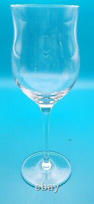 SIGNED Tiffany & Co. Set of 11 CORDIALS Crystal Clear Sherry Wine Glasses WOW