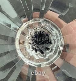 Saint Louis France Cristal Roemer Model Provence Goblet in Aqua