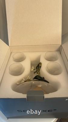 Semaxe 5 Piece Novelty Crystal Wine Glasses & Decanter For Wine Tasting