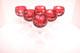 Set 6 Bohemian Czech Cut To Clear Crystal Champagne Wine Glasses Goblet Red Hock