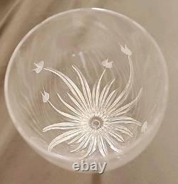 Set Of 5 DAVINCI Pisa Floral Etched Crystal Wine Glasses, Red Wine