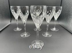 Set Of 6 DA VINCI Pisa Floral Etched Crystal Wine Glasses, Crafted in Italy MINT