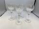 Set of 4 Rogaska Crystal GALLIA Hock Wine Glasses