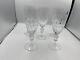 Set of 5 Rogaska Crystal GALLIA Iced Tea Glasses Large