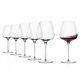 Stölzle Lausitz Cocoon Burgundy Wine Glass Set of 6