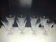 Vintage W. M. Dalton French Wine Glass 6 Sunburst Pattern Set of 8 Crystal MINT