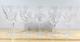 Waterford Crystal Ashling Pattern White Wine Glasses ca 5 5/8 Tall Set of 5
