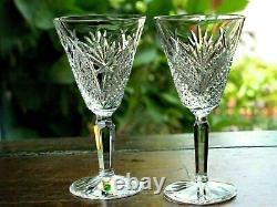 Waterford Crystal Mooncoin White Wine Glass Pair Brand New Signed Discontinued