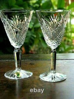 Waterford Crystal Mooncoin White Wine Glass Pair Brand New Signed Discontinued